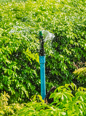 Detail of a working lawn sprinkler head watering the grass.